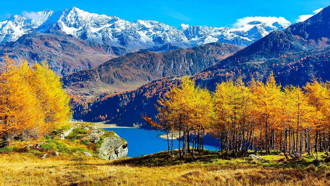 foliage engadina 001_hrjo
